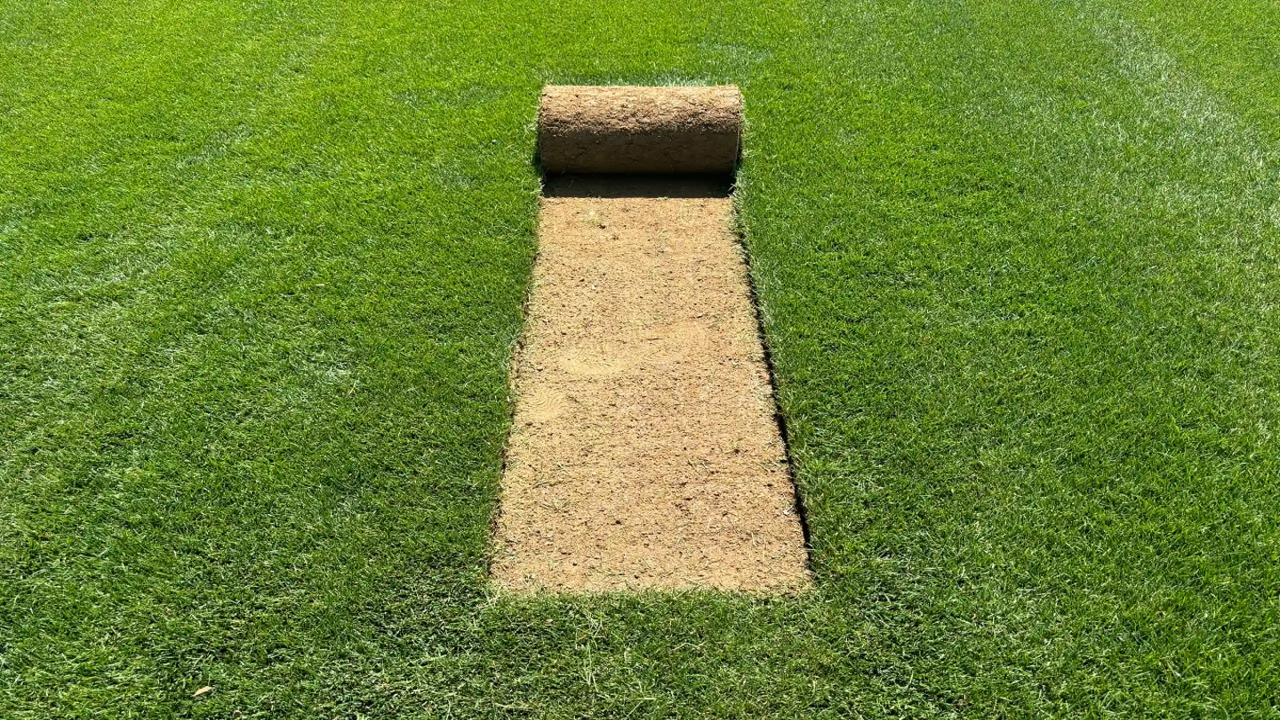 Compare after image