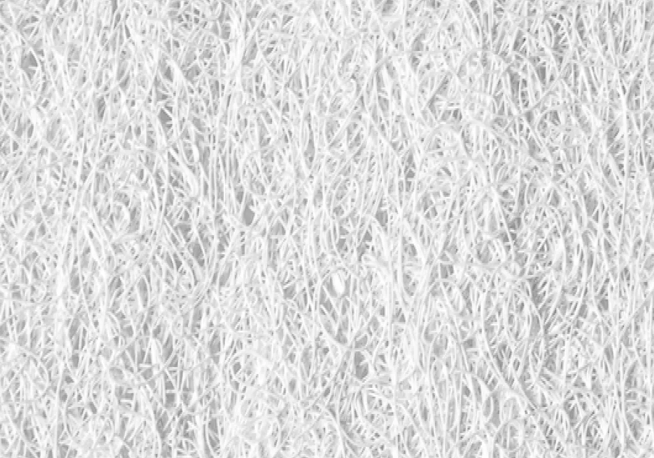 Step 4 image
