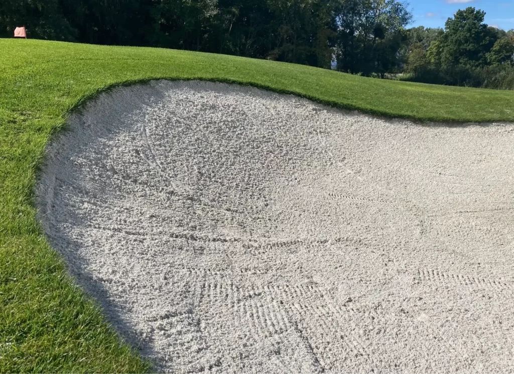 Beyond the surface: Exploring the reasons for using bunker liners