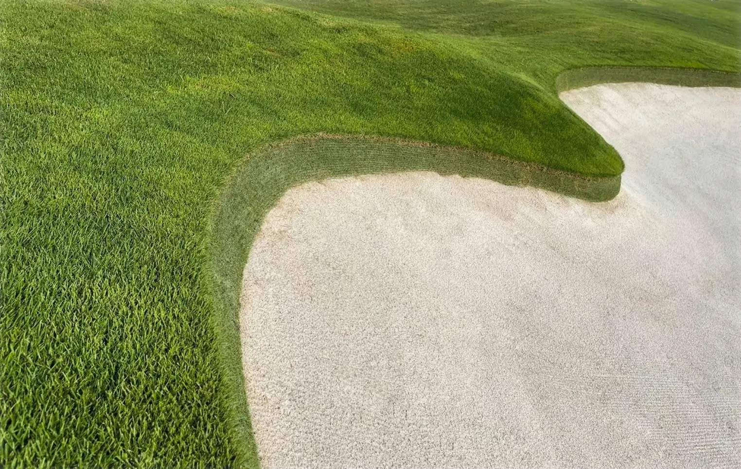 Turnkey Bunker Renovation