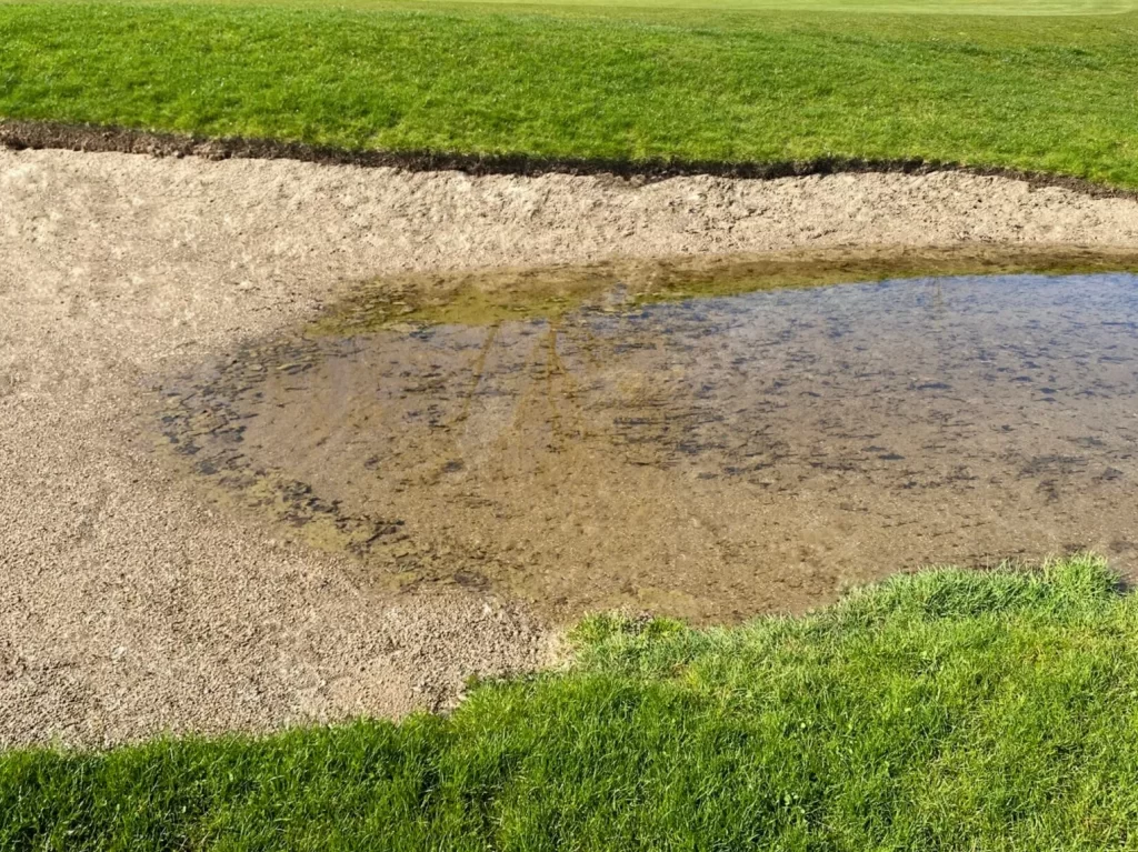 Perfect Shape and Pure Sand