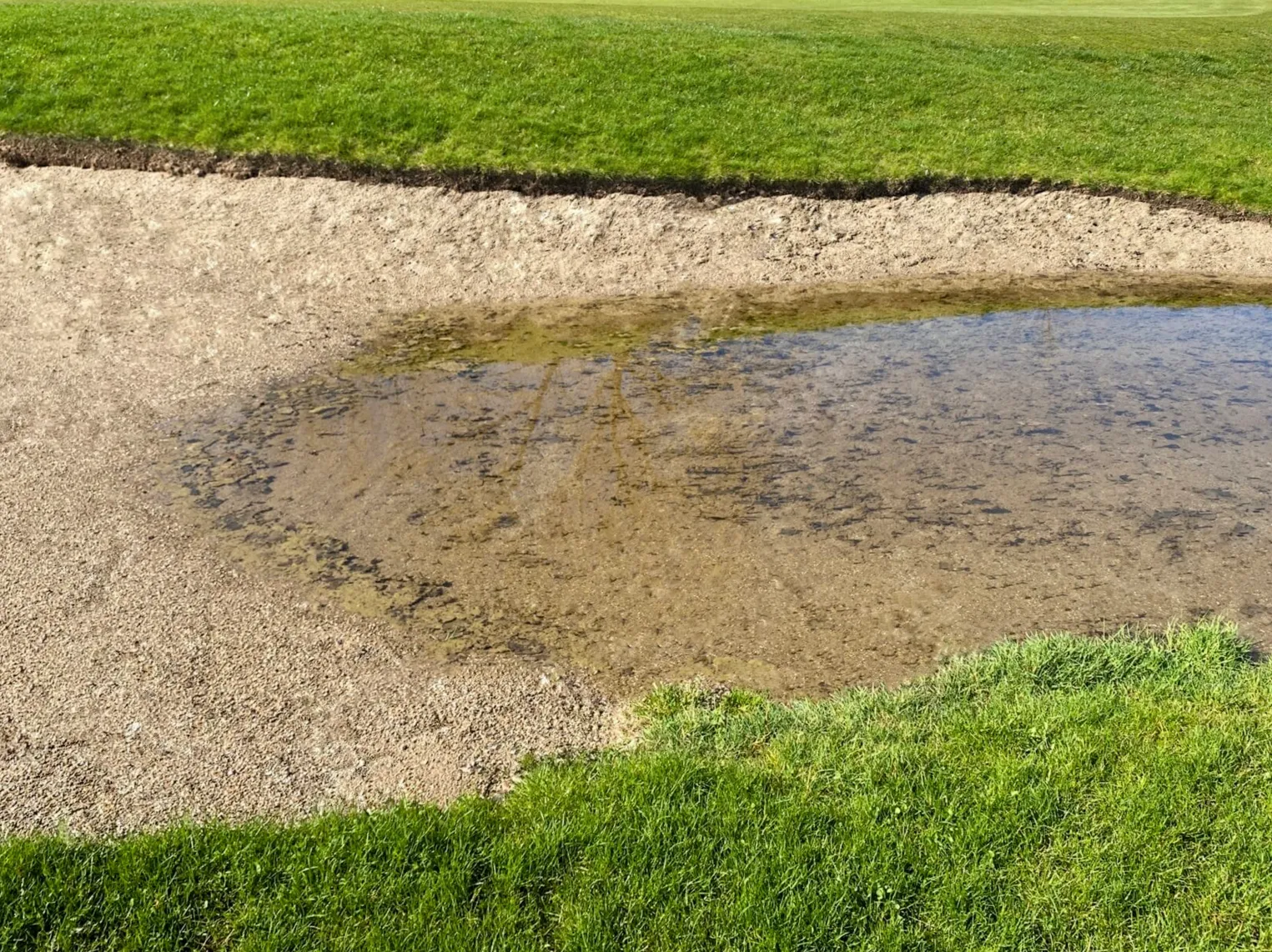 Perfect Shape and Pure Sand